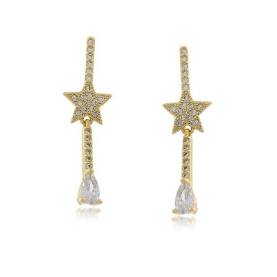 Star and Zirconia Earrings