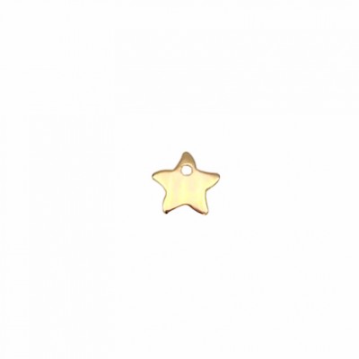 Charm Mini Estrella