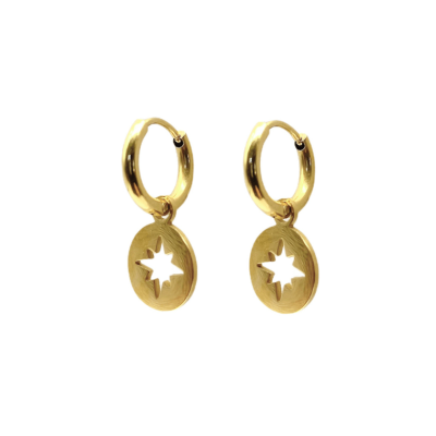 Polar Star Steel Hoop Earrings | Steel Hoop Earrings | Malu Maiese 2